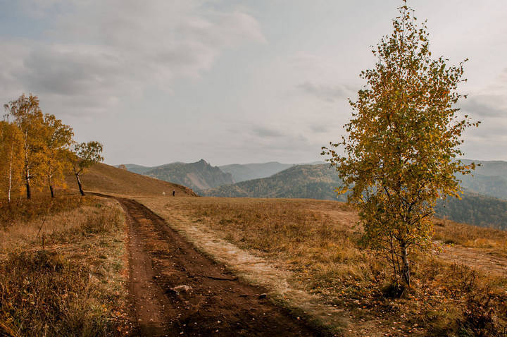 Осень золотая