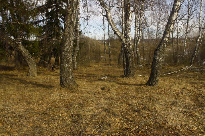 Прудно (Московская область)