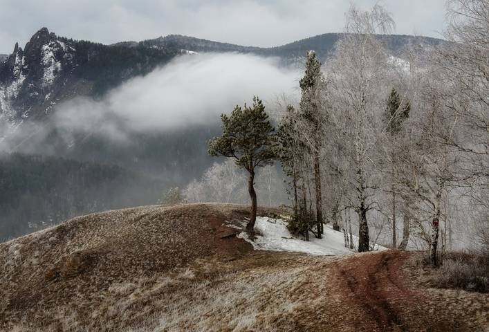 ФС Предчувствие  весны.