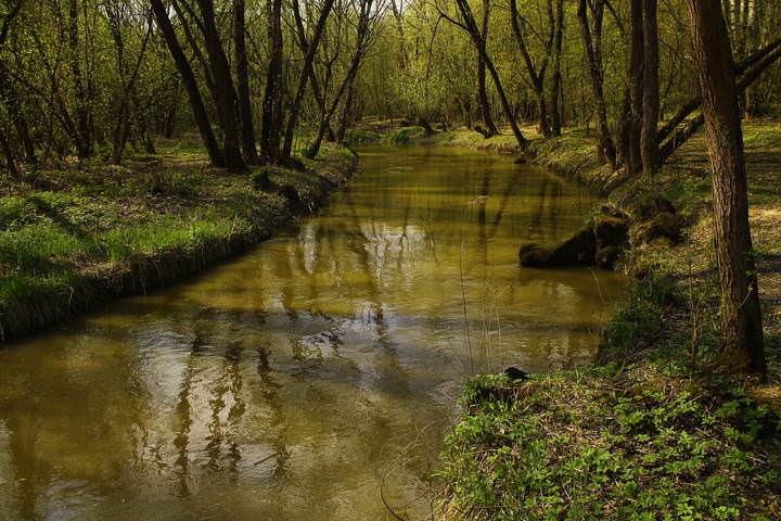 река Сетунь в Кунцеве
