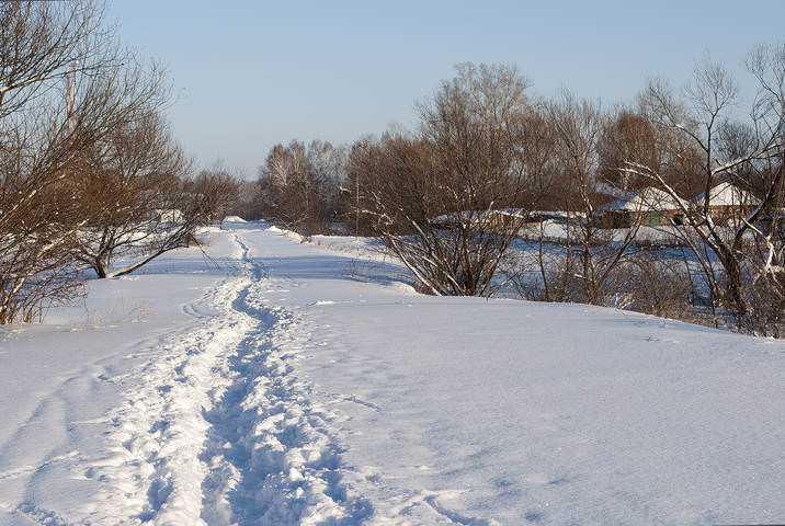 Пушистым снегом занесло...