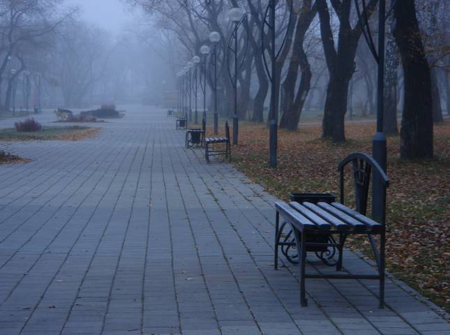 прошедшая осень