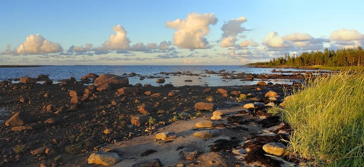 Белое  море, Поньгома
