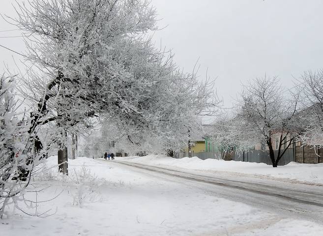 Зима в городе
