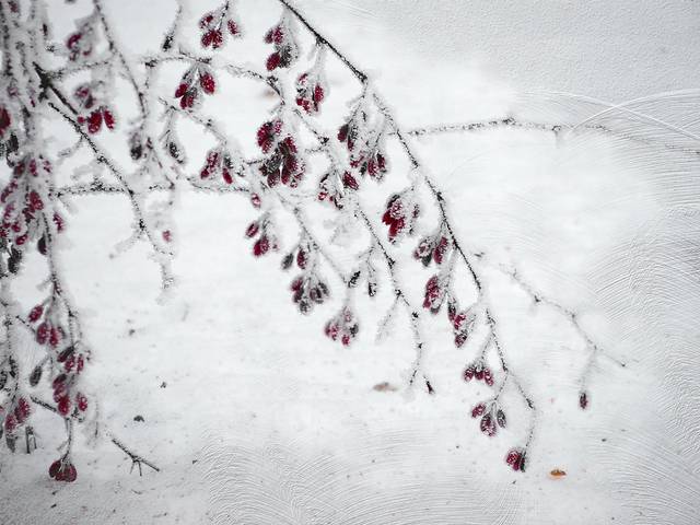 Серия "Немного зимы"