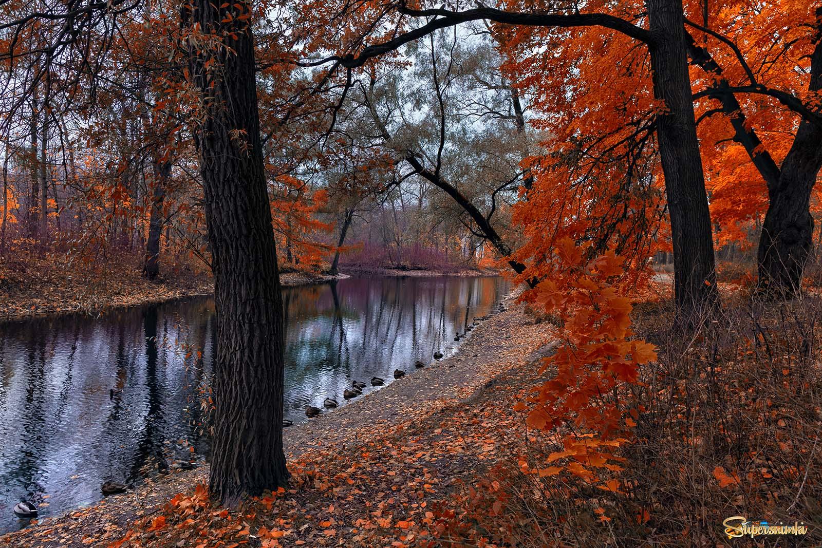 Осень в парке...