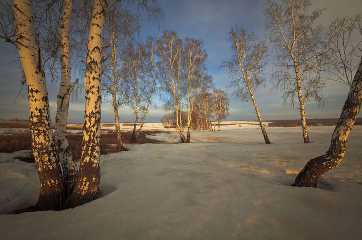 К весне