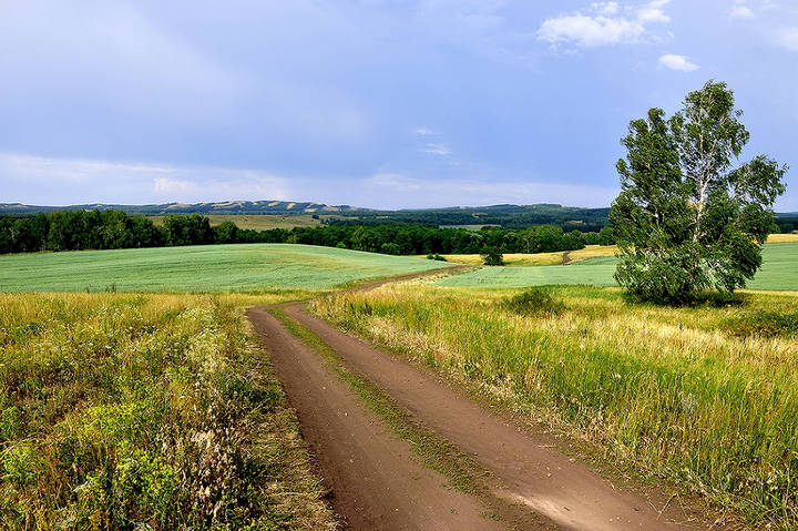 Дорога