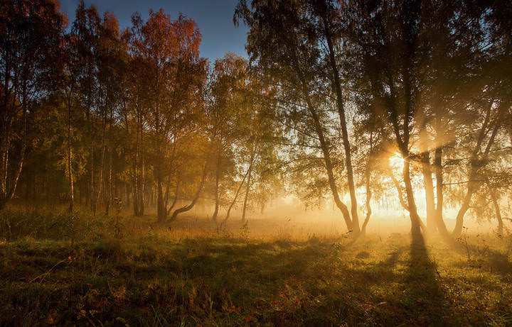 Осенним утром