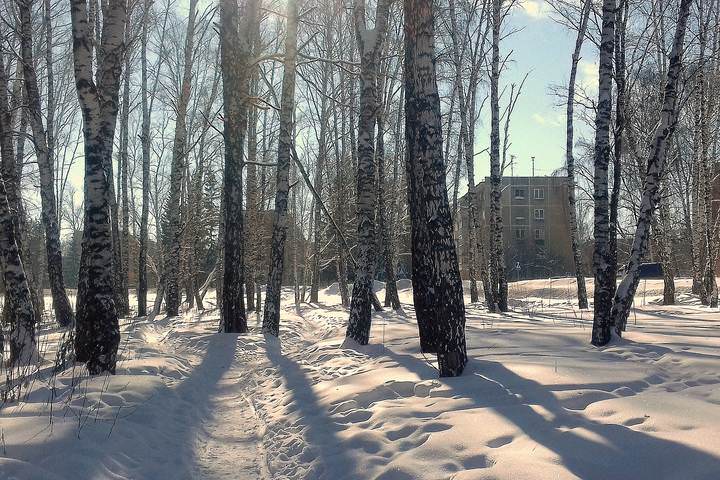Февральский день .