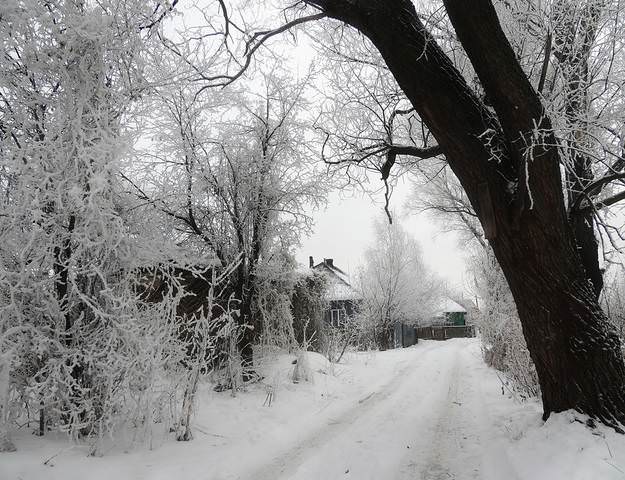 Серия "Зимний город"