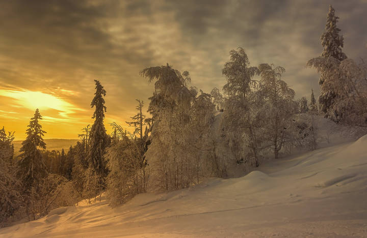 Луч света