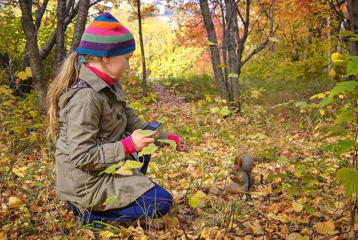 ФС  .... В поиске консенсуса с моделью....