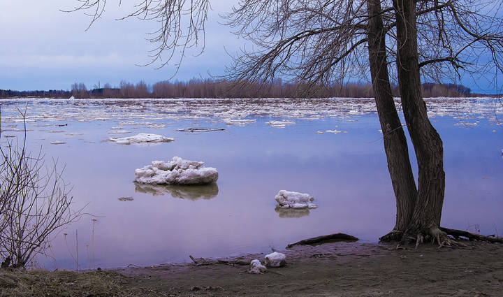 Сумерки