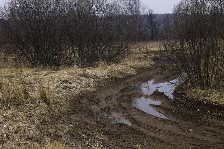 Весна в Новом Иерусалиме (Истринский район)