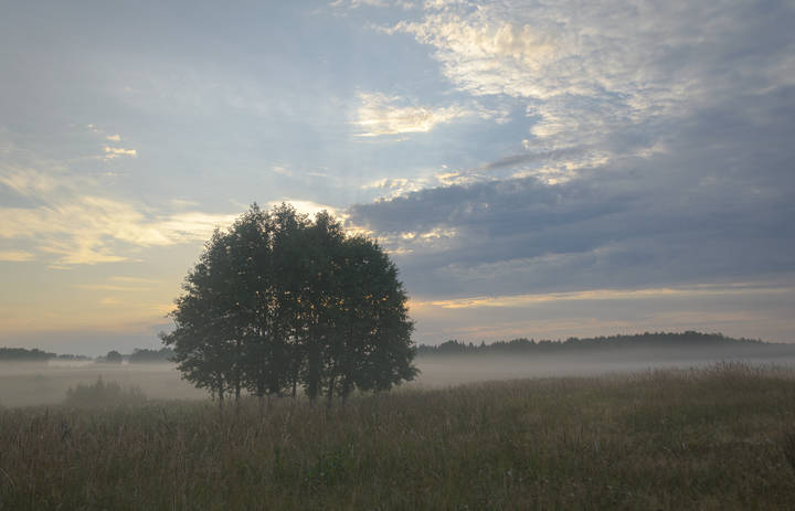 Раннее утро