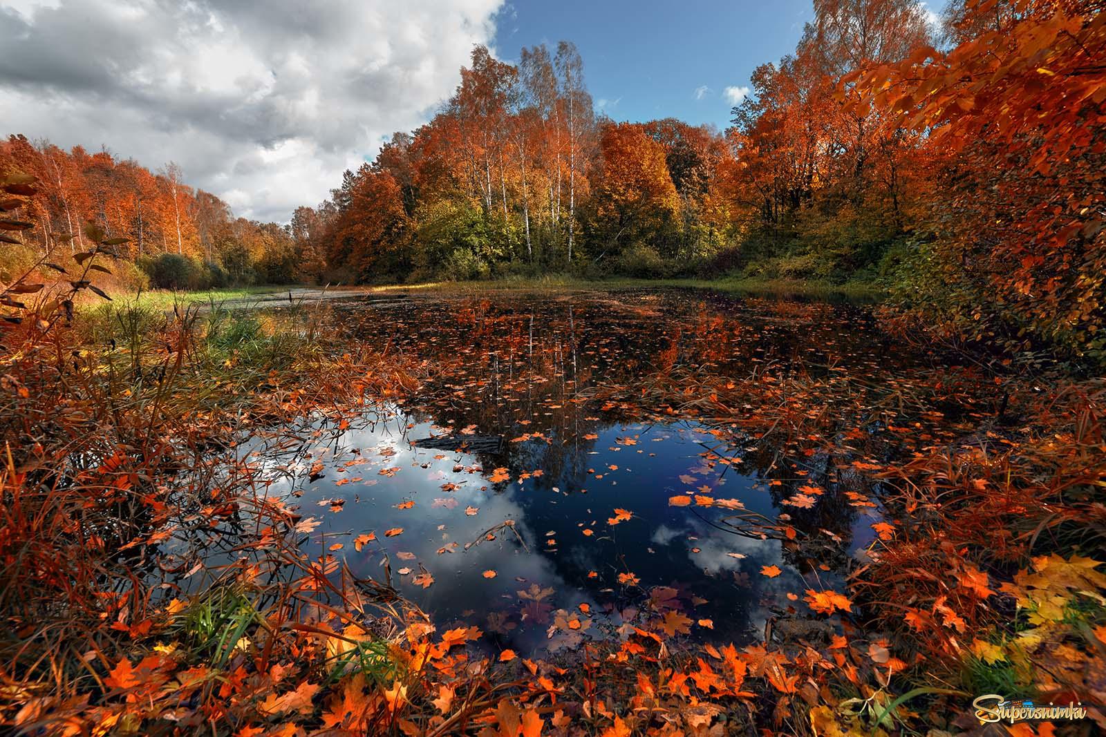 Красивая осень. Осеннее озеро. Осенний пруд. Осень пруд. Осень озеро.