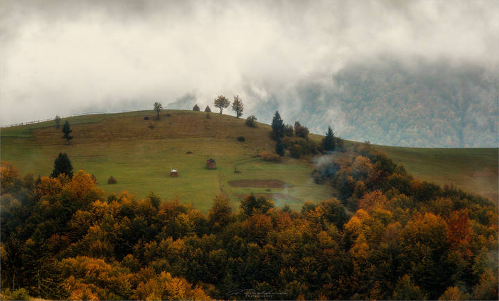 Мотивы Карпат