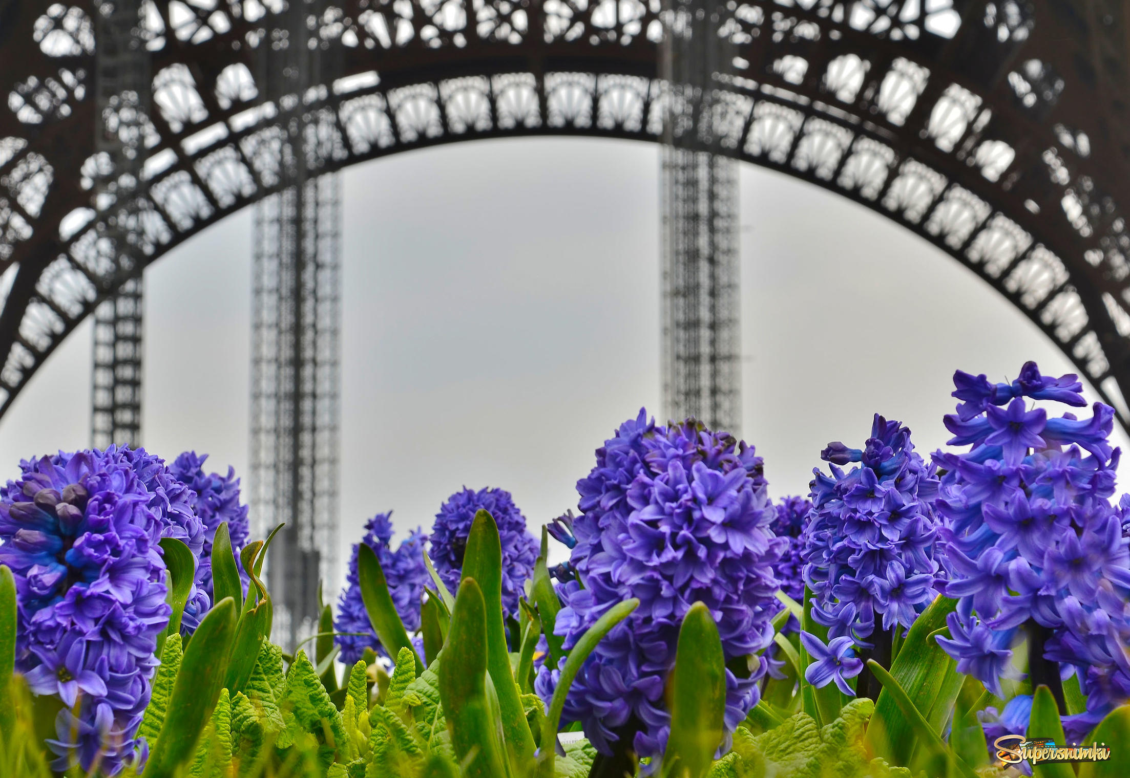 Весна в Париже.