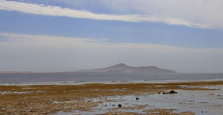  Красное море