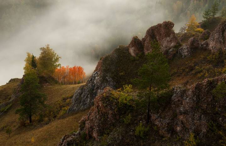 Осинки.