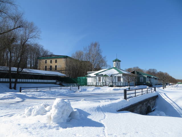 Весенний солнечный день.