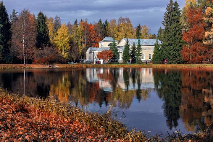 Павловский парк...