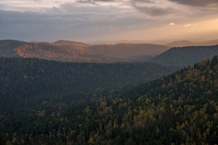 Природа просыпается