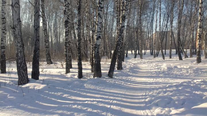 Сибирское утро в марте .
