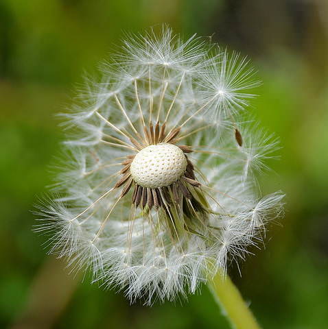 58ce3064e2cfda587010e67c