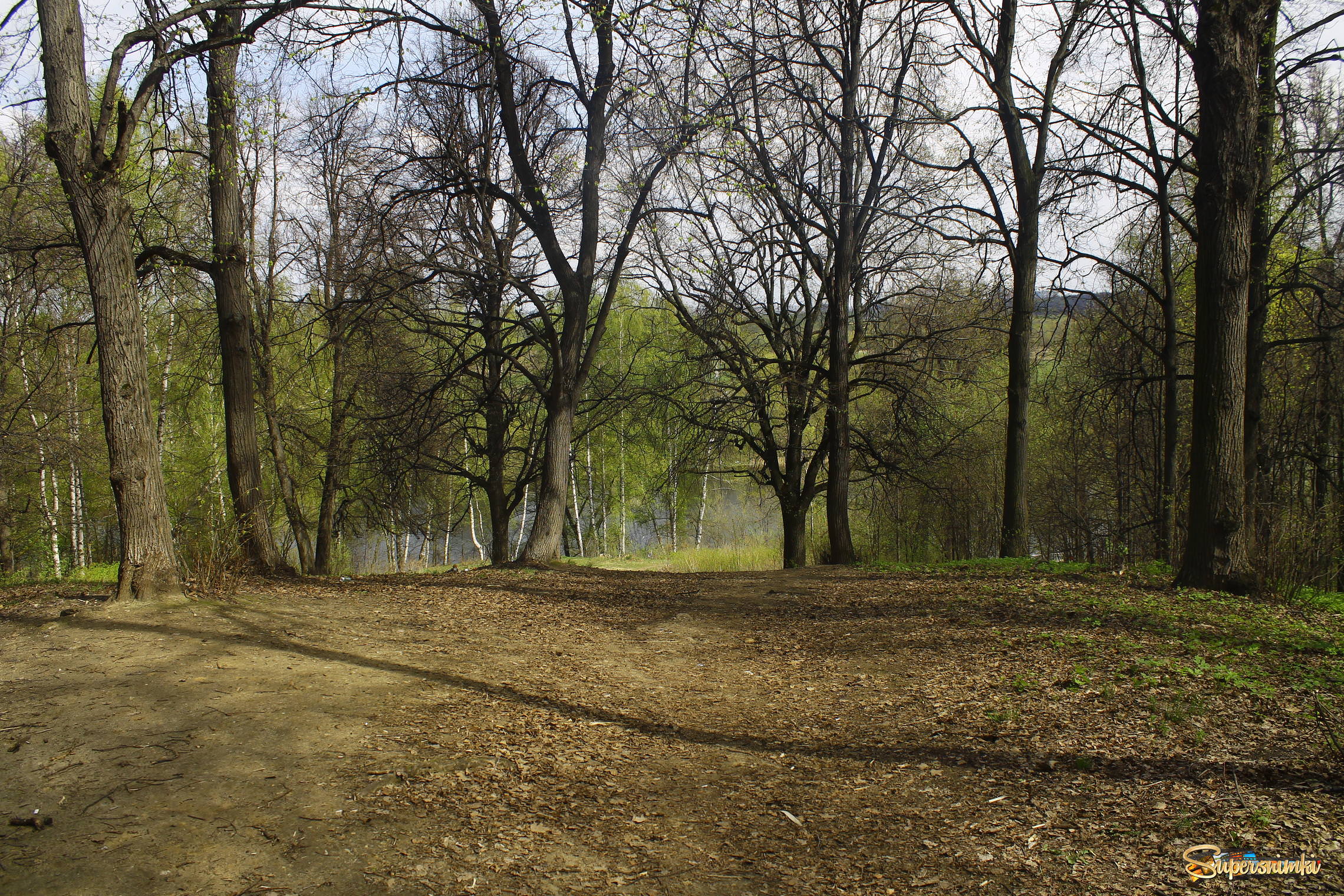 Весна в Суворовском Парке