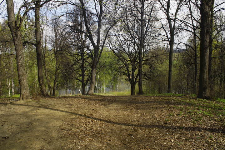 Весна в Суворовском Парке