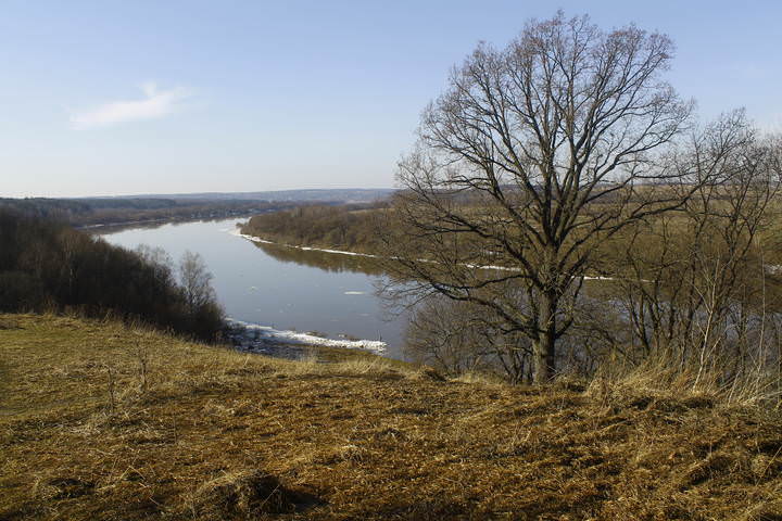 река Ока в Поленове (Тульская область)
