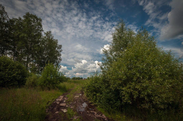 Пейзаж с дорогой
