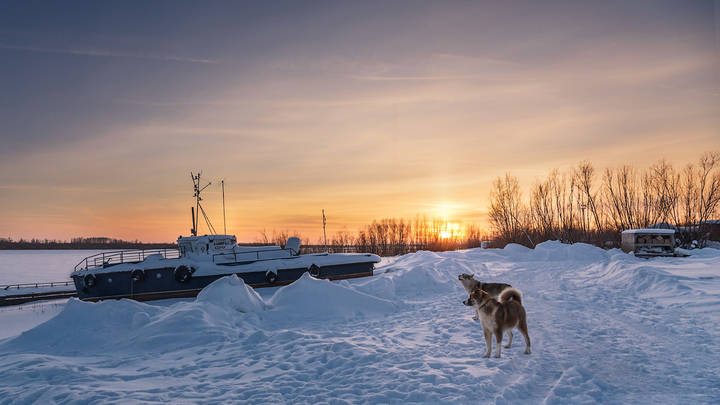 Охрана