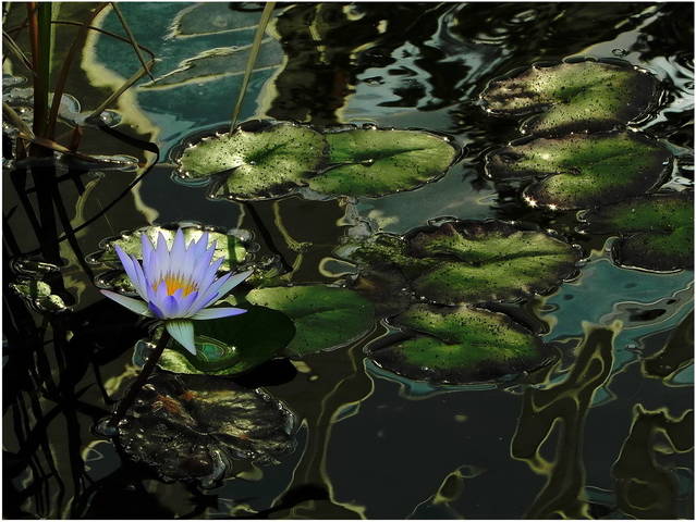 Тяжёлая вода
