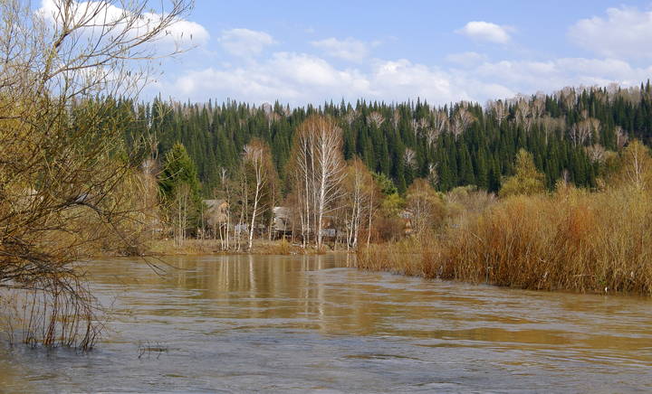 А воды вешние шумят