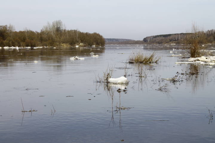 река Ока в Поленове (Тульская область)
