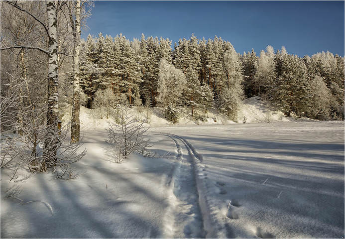 Январский пейзаж