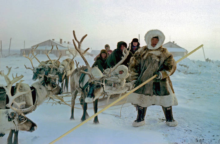 Каюр .