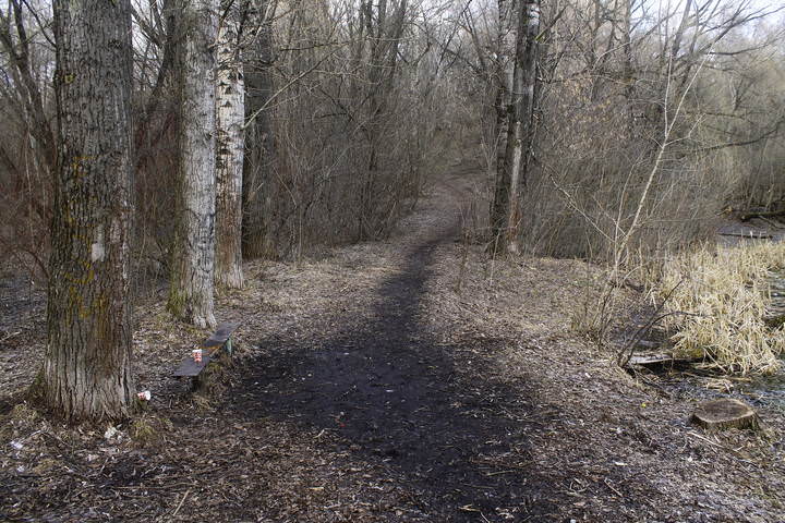 Весна в Кунцеве