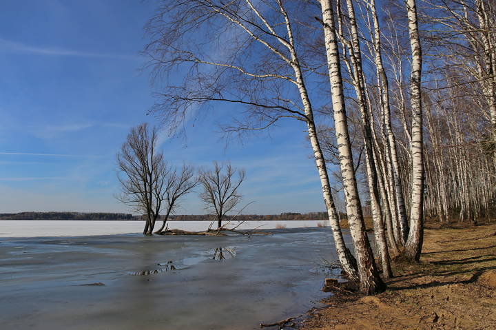  Весна 