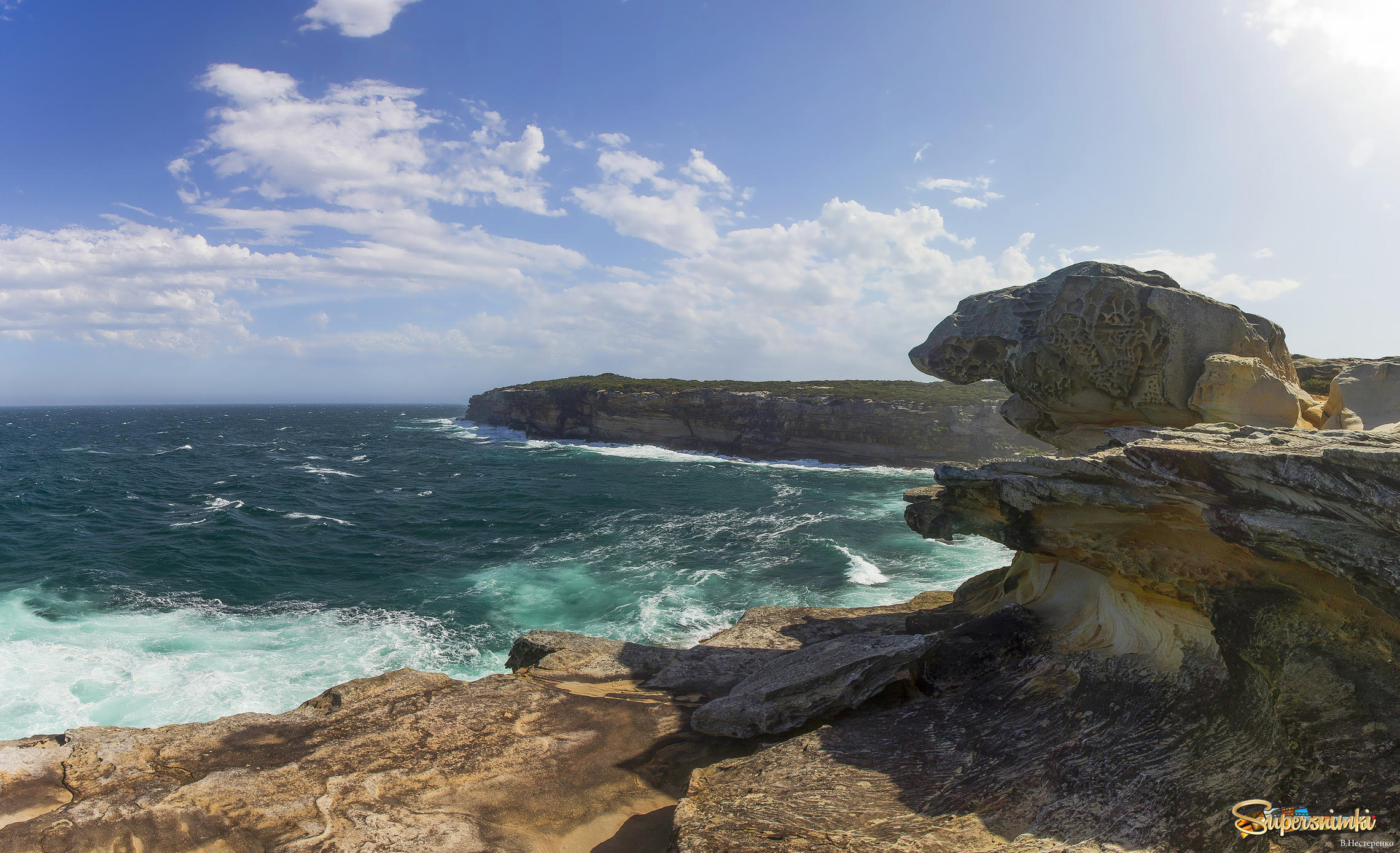 Зверье австралийского побережья