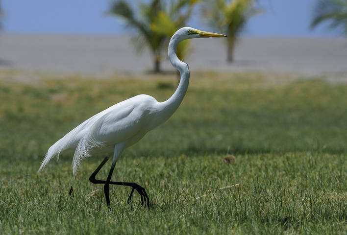 # 3