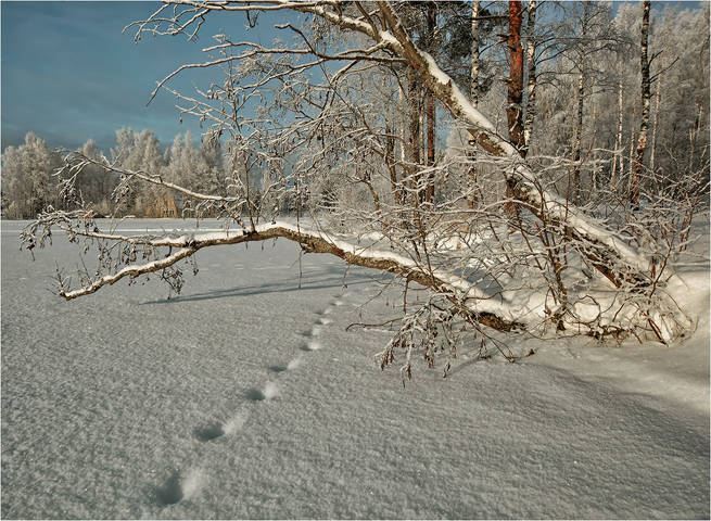 Январский день