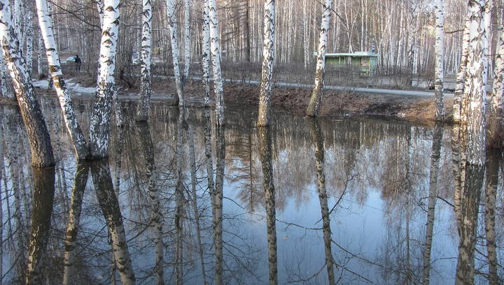 Весна во дворе