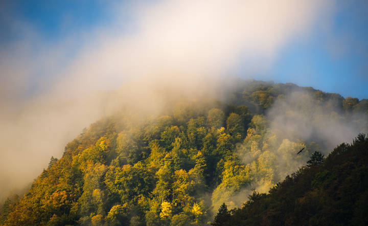 Осень
