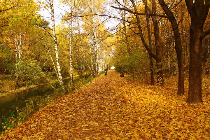 Парк "Кусково"
