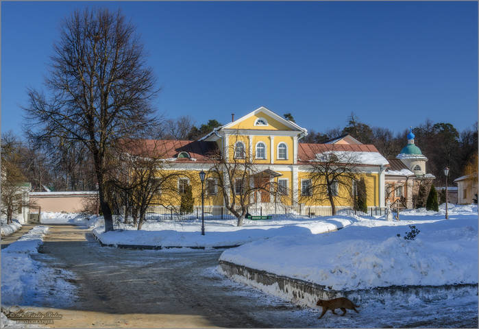 Кот, который гулял сам по себе