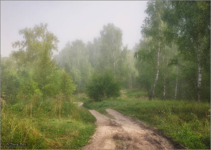 Манящая дорога